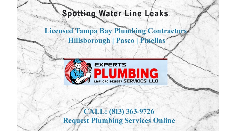 Water softener system installed in Tampa home